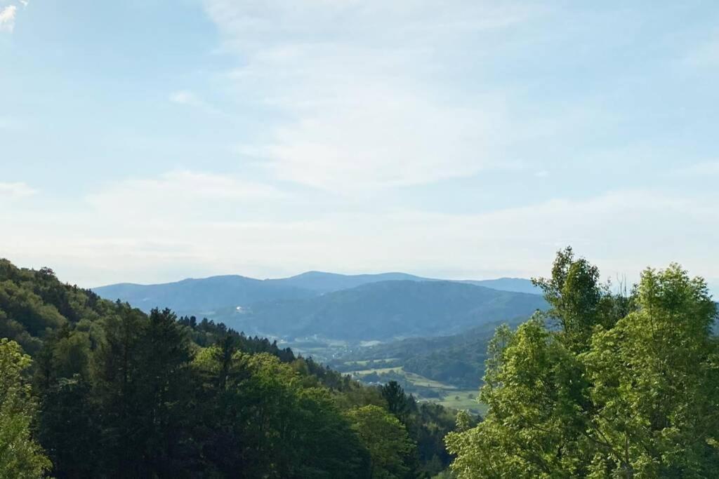 Mitten Im Bayerischen Wald + Schonblick + Urig + Netflix Schofweg Luaran gambar